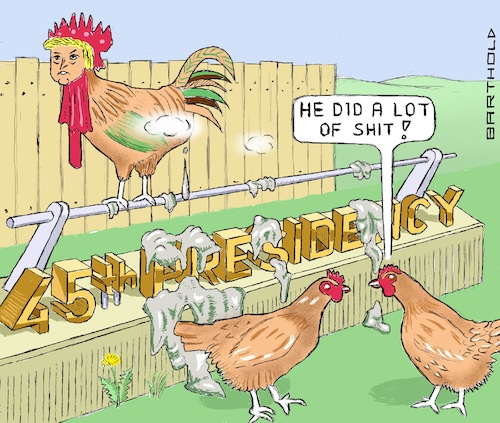 Cartoon: Balance of a Presidency (medium) by Barthold tagged donald,trump,45th,presidency,rooster,chicken,shit,president,usa,united,states,brass,letter,bird,dropping,perch,cartoon,caricature,barthold,donald,trump,45th,presidency,rooster,chicken,shit,president,usa,united,states,brass,letter,bird,dropping,perch,cartoon,caricature,barthold
