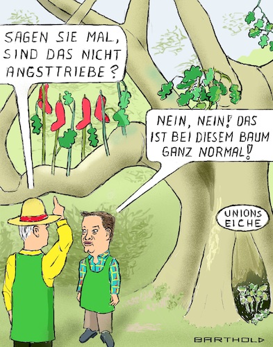 Die Unionseiche Die Unionseiche