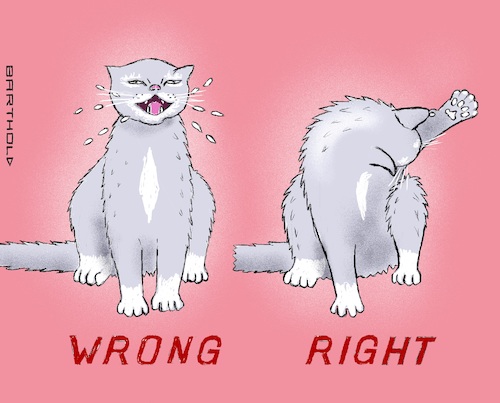 Cartoon: Extended Hygiene Requirements (medium) by Barthold tagged corona,virus,pandemic,hygiene,regulations,rules,sneezing,cat,dressage,cartoon,caricature,barthold,corona,virus,pandemic,hygiene,regulations,rules,sneezing,cat,dressage,cartoon,caricature,barthold