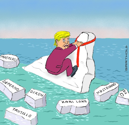 Ice Melting By Barthold | Politics Cartoon | TOONPOOL