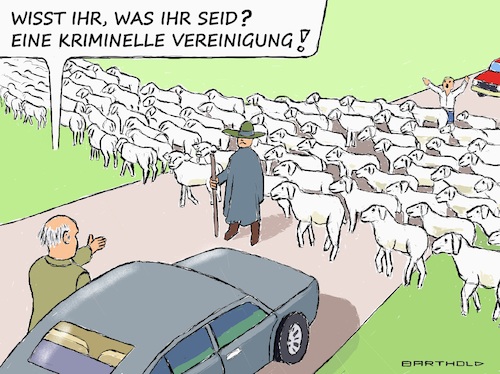 Kriminelle Vereinigung Kriminelle Vereinigung