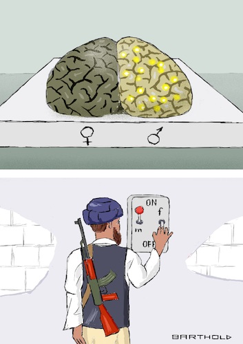 The Brain of Afghanistan The Brain of Afghanistan