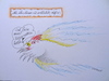 Cartoon: ich bin mal zigaretten holen ... (small) by katzen-gretelein tagged sex,ehe,liebe