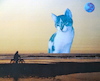 Cartoon: katzenhimmel (small) by katzen-gretelein tagged katze,tierwelt,himmel,meer,strand,tod,erinnerung