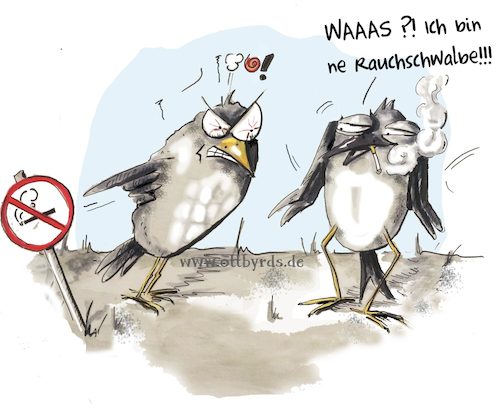 Cartoon: Non Smoking area (medium) by OTTbyrds tagged rauchverbot,rauchschwalbe,vogelarten,raucher,birds,nonsmokingarea,guteausreden,schlitzohr,rauchbelästigung