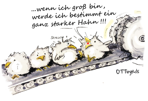 Cartoon: Zukunftslos (medium) by OTTbyrds tagged kükenschreddern,massentierhaltung,konsum,fleischhühner,nachhaltigkeitumdenken