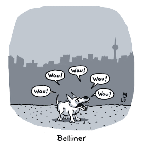 Belliner Belliner