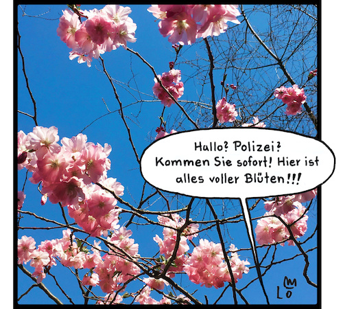 Blüten unterwegs Blüten unterwegs