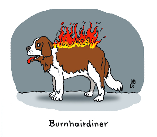 Burnhairdiner