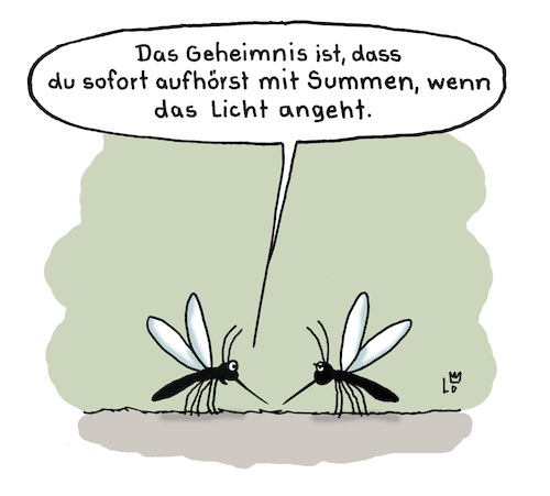 Geheimtipp Geheimtipp