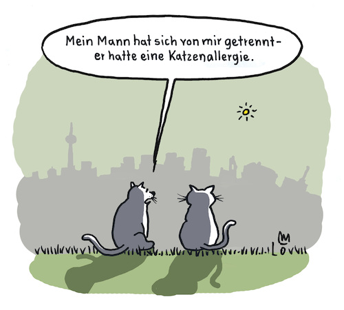 Katzenallergie Katzenallergie