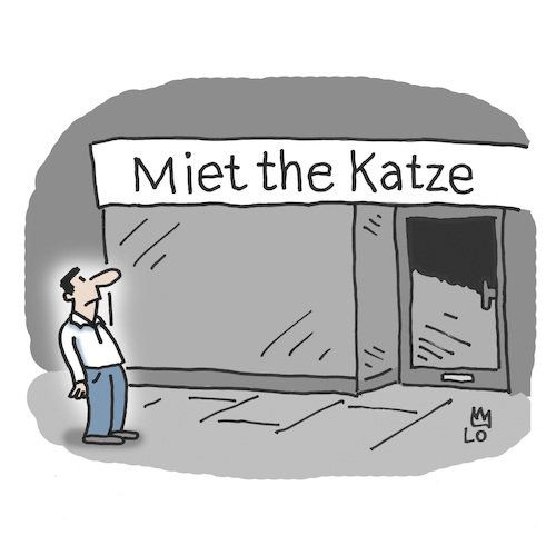 Katzenverleih Katzenverleih