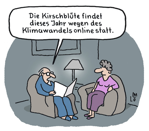 Kirschblüte Kirschblüte