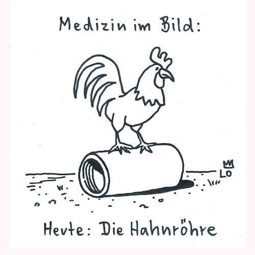 Medizin im Bild