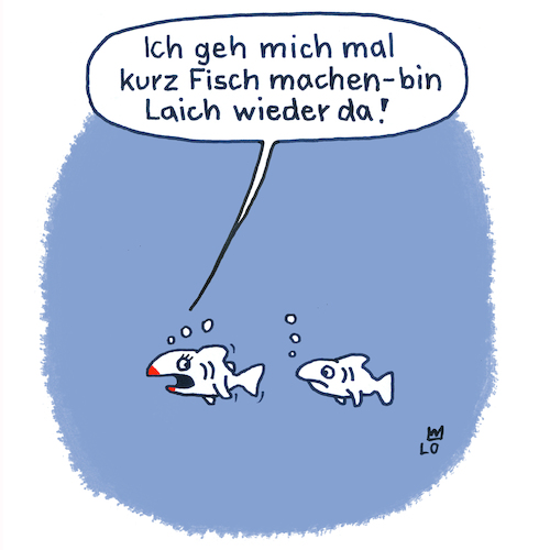 Meereswelt Meereswelt