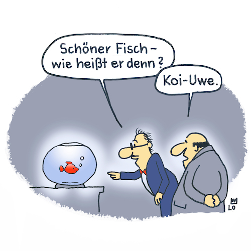 Neuer Fisch Neuer Fisch