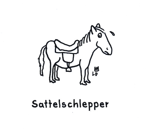 Reitsport Reitsport