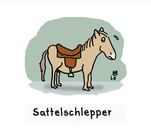 Reitsport Reitsport