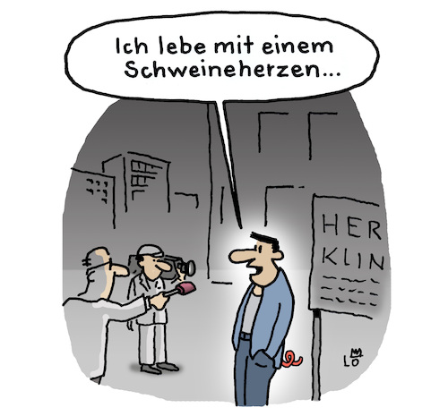 Schweineherz Schweineherz