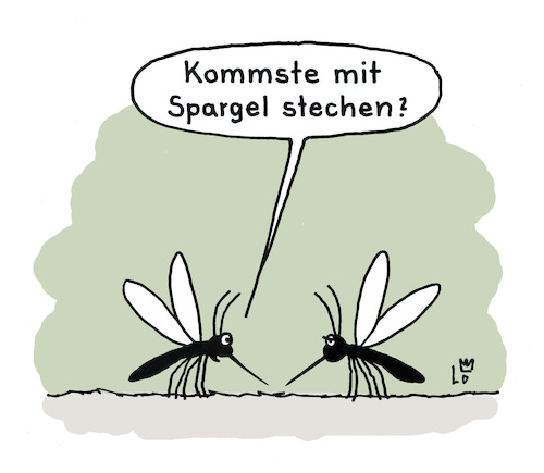 Spargelzeit Spargelzeit
