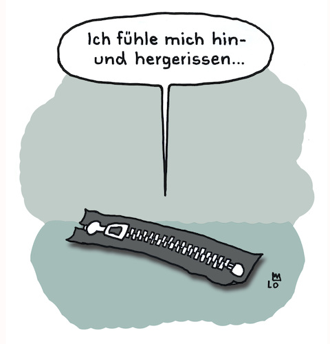 Superwahljahr Superwahljahr