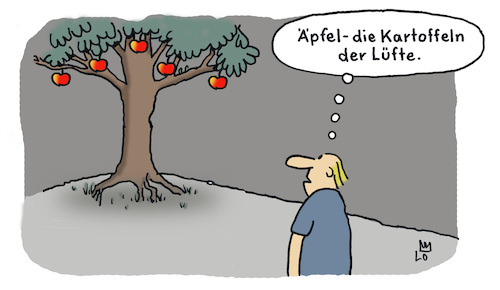 Vergleich Vergleich