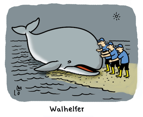 Cartoon: Walhelfer (medium) by Lo Graf von Blickensdorf tagged wal,timmy,buckelwal,wortspiel,walhelfer,ostsee,timmendorfer,strand,karikatur,lo,graf,cartoon,drama,rettung,gestrandet,rettungsversuch,wal,timmy,buckelwal,wortspiel,walhelfer,ostsee,timmendorfer,strand,karikatur,lo,graf,cartoon,drama,rettung,gestrandet,rettungsversuch