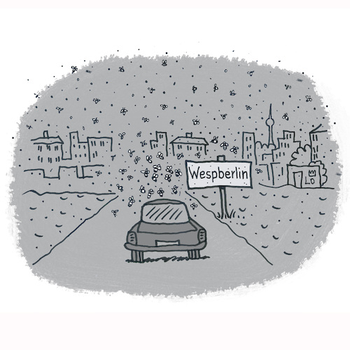 Wespen Wespen
