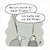 Cartoon: Haare (small) by Lo Graf von Blickensdorf tagged stress,friseur,frisur,haare,frisörsalon,frisörtermin,mann,männer,viel,um,die,ohren,karikatur,lo,pflege,cartoon,wortspiel