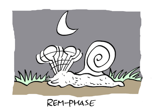 Cartoon: Schnaf (medium) by Bregenwurst tagged schnecke,schlaf,rem,augen