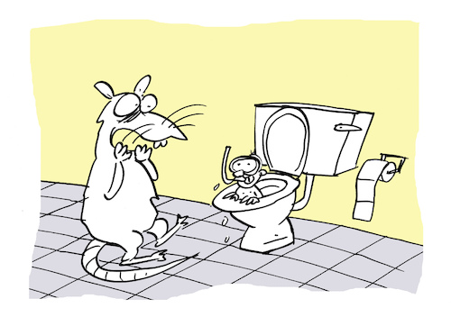 Cartoon: Ungeziefer (medium) by Bregenwurst tagged ratte,toilette,kanalisation,taucher