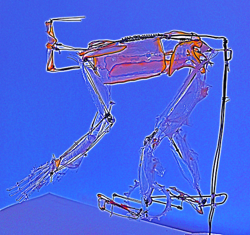 Cartoon: biker (medium) by herranderl tagged sun,set,warrior