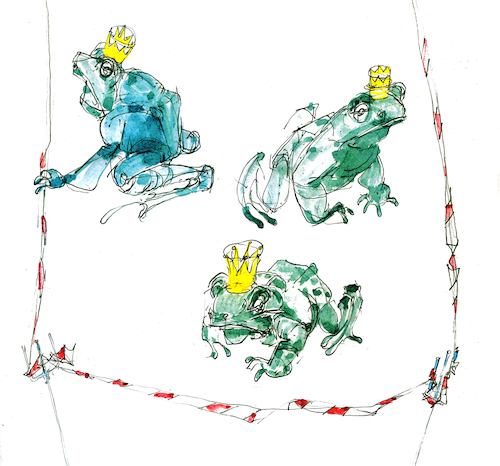 Cartoon: frogdown (medium) by herranderl tagged corona,pandemie,lockdown,frog
