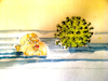 Cartoon: ... (small) by herranderl tagged corona,virus,pandemie