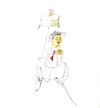 Cartoon: china (small) by herranderl tagged china