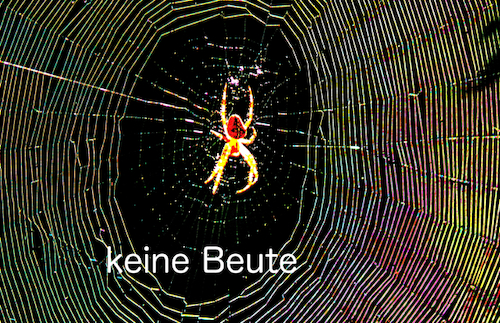 Cartoon: Insektensterben (medium) by oliviaoil tagged insektenvielfalt,wald,wiesen