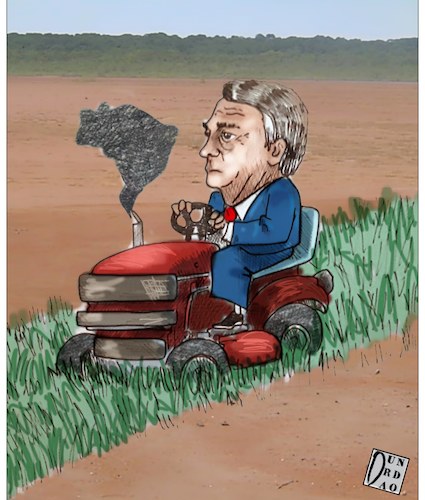 Cartoon: deforestation (medium) by Christi tagged brazil,amazon,bolsonaro