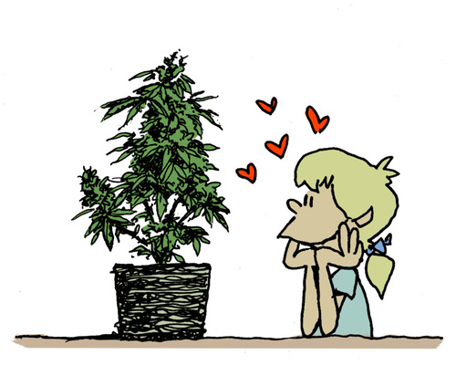 Cartoon: Christmas tree (medium) by mortimer tagged mortimer,mortimeriadas,cartoon,ganja,marihuana,tree