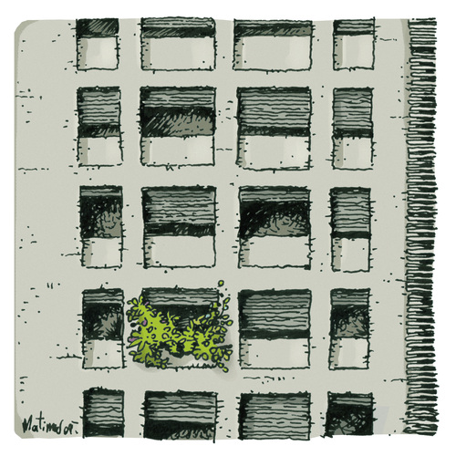 gardens gardens