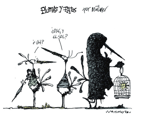 Cartoon: Plumas y pajaros 4 (medium) by mortimer tagged mortimer,mortimeriadas,cartoon,comic,birds
