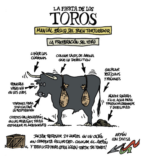 Cartoon: TOROS (medium) by mortimer tagged bullfight,toros,comic,cartoon,mortimeriadas,mortimer