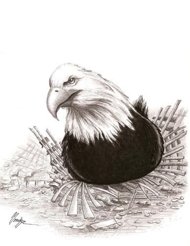 Cartoon: Never Forget! (medium) by menekse cam tagged attack,keepingwarm,debris,usa,eagle,incubation,11,september