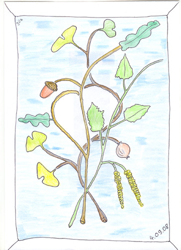 Cartoon: GinkoBiloba Birke EICHE (medium) by skätch-up tagged natur,birke,eiche,ginkobiloba,plants,pflanzen,blätter,baum