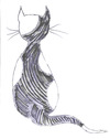 Cartoon: EL Gato  001 (small) by skätch-up tagged gato,katze,cat