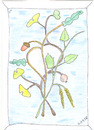 Cartoon: GinkoBiloba Birke EICHE (small) by skätch-up tagged natur,birke,eiche,ginkobiloba,plants,pflanzen,blätter,baum