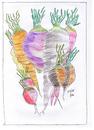 Cartoon: roots and beets (small) by skätch-up tagged carrot,beetroot,radish,yellow,turnip,parsnips