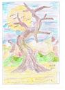 Cartoon: THE OLD TREE in the Desert (small) by skätch-up tagged old,tree,desert,mountains,crows,raven,silence,hot,dry,1000,years,lonely,nature