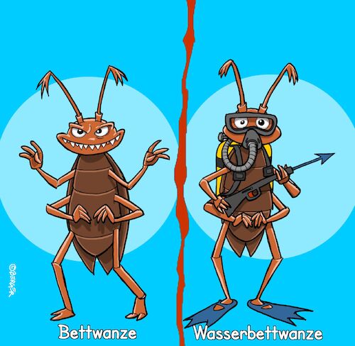 Cartoon: Bedbug (medium) by Chris Berger tagged bettwanze,bett,wasserbett,ungeziefer,plage,bettwanze,bett,wasserbett,ungeziefer,plage