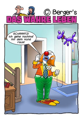 Clown Hund Clown Hund