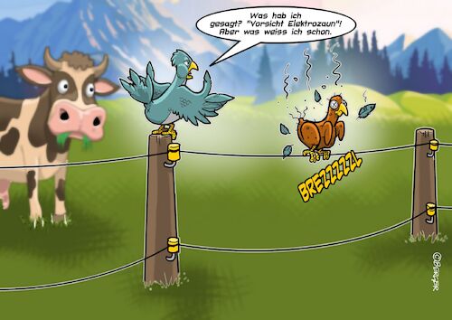 Electric fence Electric fence